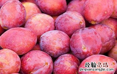 李子和什么不能一起吃栗子 李子和什么不能一起吃