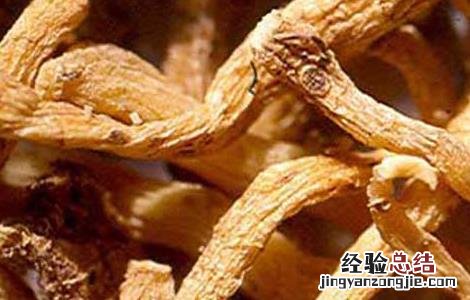 孕妇可以吃玉竹吗 孕妇可以吃玉竹吗早期