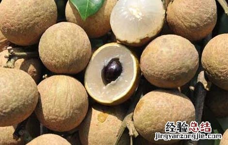 龙眼和什么不能一起吃 龙眼和什么不能一起吃会中毒