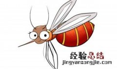 消除蚊子有哪些好方法 如何有效消除蚊子