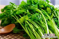 2月24日世界讨厌香菜日 世界讨厌香菜日是几号