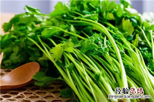 2月24日世界讨厌香菜日 世界讨厌香菜日是几号