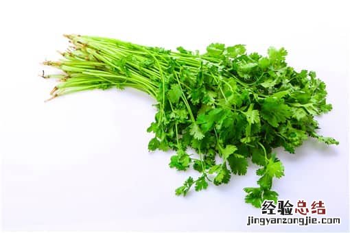 2月24日世界讨厌香菜日 世界讨厌香菜日是几号