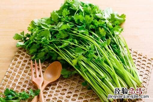 今天是世界讨厌香菜日！为什么很多人讨厌香菜？看详细原因！