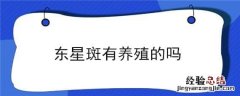 东星斑养殖前景 东星斑有养殖的吗