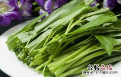 空心菜的叶能吃吗? 空心菜的叶子能吃吗