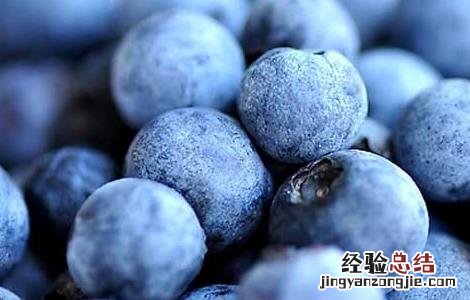 孕妇能吃蓝莓吗 孕妇能吃蓝莓吗早期