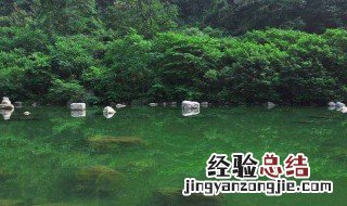 出去玩的心情说说 出去玩的心情说说短句