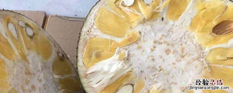 整个菠萝蜜熟了还能放多久 菠萝蜜熟了还能放多久