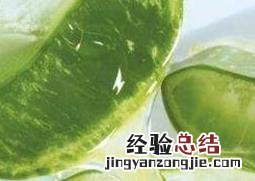 芦荟有哪些功效与作用 芦荟有哪些功效与作用图片