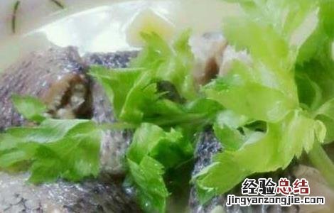 孕妇能吃黑鱼吗初期 孕妇能吃黑鱼吗