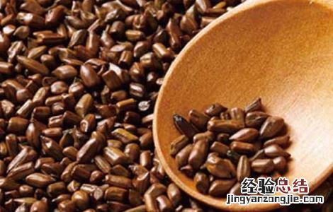 孕妇能喝决明子茶吗中期 孕妇能喝决明子茶吗