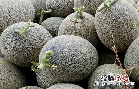 孕妇能吃哈密瓜吗? 孕妇能吃哈密瓜吗