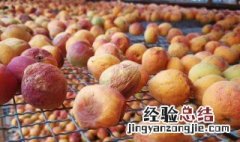 吊干杏吃多了的危害 吊干杏吃多了有什么危害