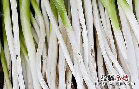 大葱和什么一起吃 大葱不能跟什么一起吃