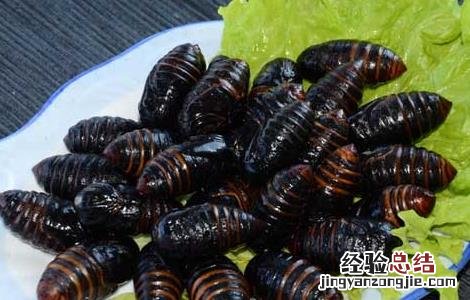 孕妇能吃蚕蛹吗 孕妇能吃蚕蛹吗前三个月