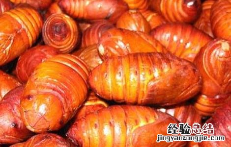 孕妇能吃蚕蛹吗 孕妇能吃蚕蛹吗前三个月