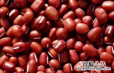 薏米能和绿豆、大米、红豆、小米、黑米一起煮吗？