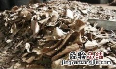 花生麸怎么用来钓鱼 花生麸能用来钓鱼吗