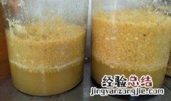 菠萝酒的酿制方法 菠萝酒的做法介绍