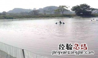 清塘后鱼塘怎么消毒 介绍两种方法