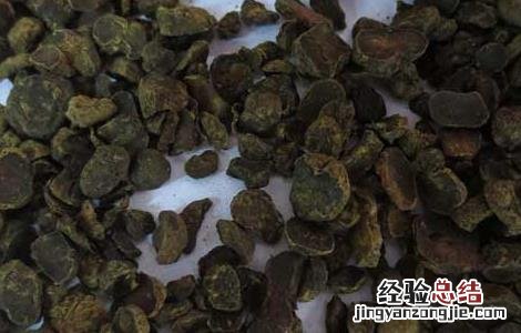 孕妇可以吃延胡索吗