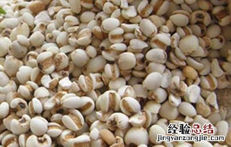孕妇能吃薏苡仁吗 孕妇能吃薏苡仁吗早期