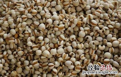 孕妇能吃薏苡仁吗 孕妇能吃薏苡仁吗早期