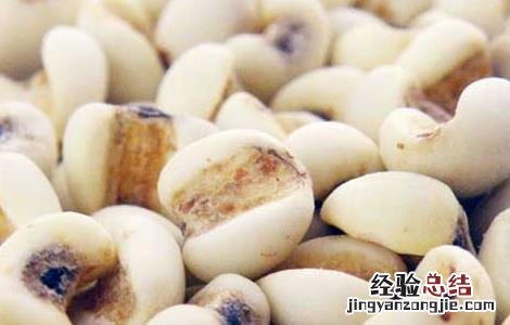 孕妇能吃薏苡仁吗 孕妇能吃薏苡仁吗早期