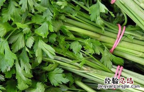 孕妇能吃芹菜吗? 孕妇能吃芹菜吗