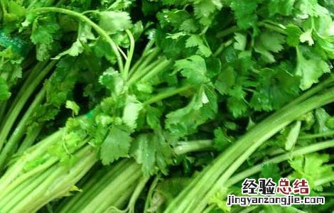 孕妇能吃芹菜吗? 孕妇能吃芹菜吗