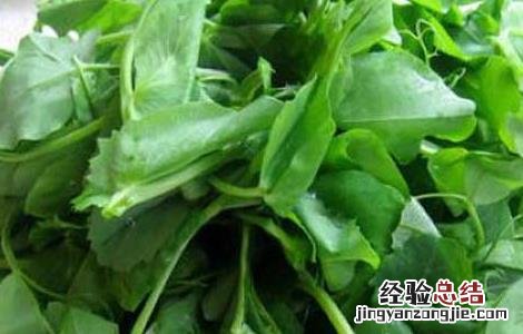 新鲜豌豆发芽能吃吗 豌豆发芽能吃吗
