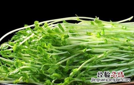新鲜豌豆发芽能吃吗 豌豆发芽能吃吗