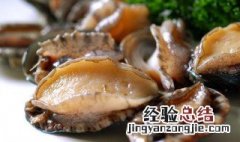 鲍鱼食用方法 怎样食用鲍鱼
