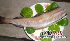 无头鳕鱼到底是啥鱼 无头鳕鱼为什么没有头？