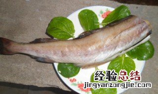 无头鳕鱼到底是啥鱼 无头鳕鱼为什么没有头？