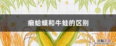 癞蛤蟆和牛蛙的区别 癞蛤蟆和牛蛙的区别在哪里