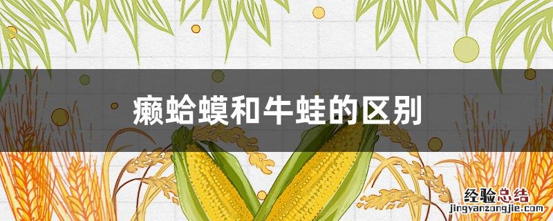 癞蛤蟆和牛蛙的区别 癞蛤蟆和牛蛙的区别在哪里