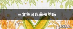三文鱼有没有养殖的 三文鱼可以养殖的吗