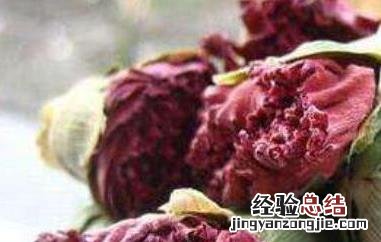紫罗兰花泡茶的功效 紫罗兰花茶的功效与作用