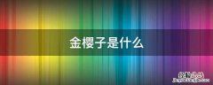 金樱子是什么 金樱子是什么东西