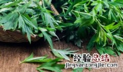 以一樟目的意思 以一樟目的含义是什么