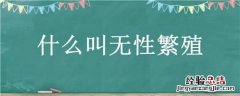 什么叫无性繁殖 什么叫无性繁殖和有性繁殖