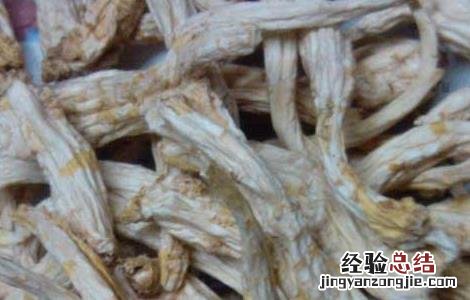 孕妇可以吃桔梗吗早期 孕妇可以吃桔梗吗