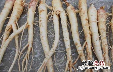 孕妇可以吃桔梗吗早期 孕妇可以吃桔梗吗