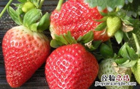 孕妇能吃草莓吗 孕晚期 孕妇能吃草莓吗