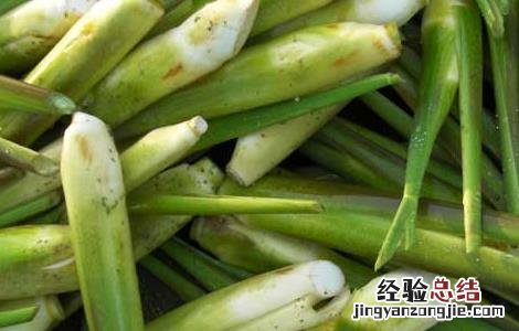 孕妇能吃茭白吗 孕妇能吃茭白吗前三个月