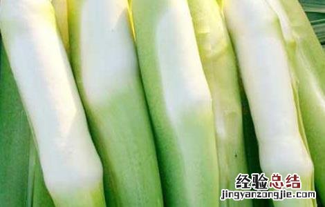 孕妇能吃茭白吗 孕妇能吃茭白吗前三个月