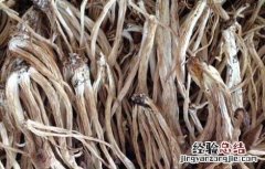 茶树菇不能和什么一起吃 茶树菇不能和什么一起吃香哈