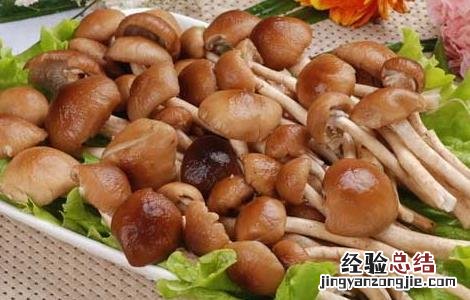 孕妇能吃茶树菇吗前三个月 孕妇能吃茶树菇吗?